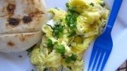 Eggs cilantro breakfast Recipes