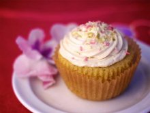 golden mean cafe, vanilla cupcake, santa monica, california golden mean cafe, vanilla cupcake, santa monica, california