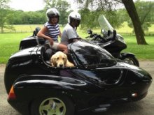 visit from golden retreiver gus at our pet friendly inn